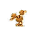 Gold Doduo